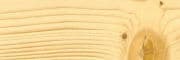Holz