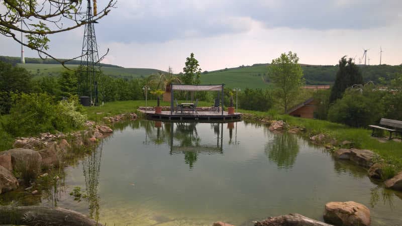 Teich