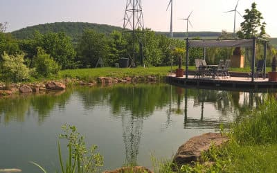 Naturwiese, Spielplatz und Teich